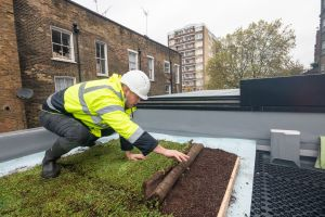 ACO Blue Green Roofs