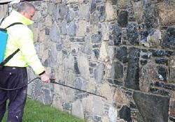 Masonry Cleaner