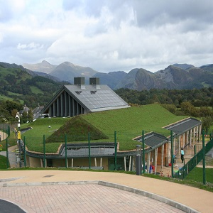 green roof