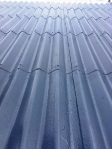 SIKA Liquid Plastics roofing membranes