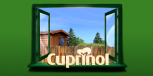 Cuprinol Wood Treatment