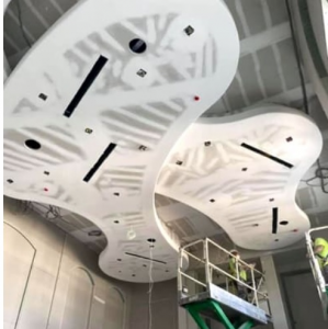 Protektor Suspended Ceilings