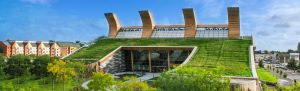 ICB Green Roofs