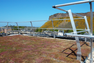 ICB Roof Guardrails